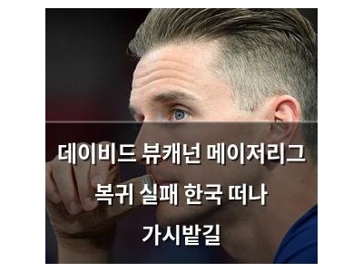 데이비드 뷰캐넌 메이저리그 복귀 실패 한국 떠나 가시밭길