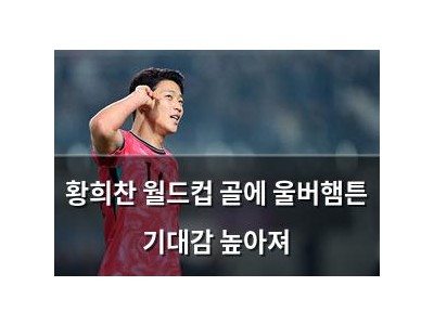 황희찬 월드컵 골에 울버햄튼 기대감 높아져