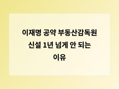 부동산감독원 신설 지연에 국민 실망 감증