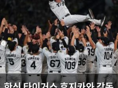 한신 타이거스 후지카와 감독 정규시즌 우승 확정