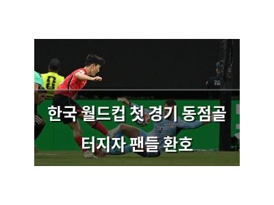 한국 월드컵 첫 경기 동점골 터지자 팬들 환호