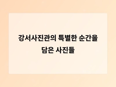 강서사진관의 특별한 순간을 담은 사진들