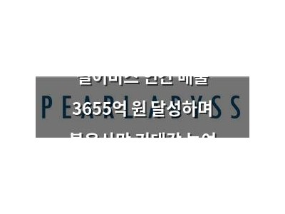 펄어비스 연간 매출 3655억 원 달성하며 붉은사막 기대감 높여