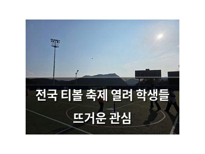 전국 티볼 축제 열려 학생들 뜨거운 관심