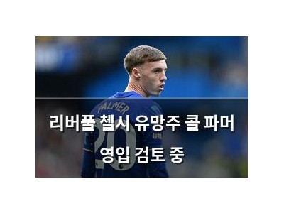 리버풀 첼시 유망주 콜 파머 영입 검토 중