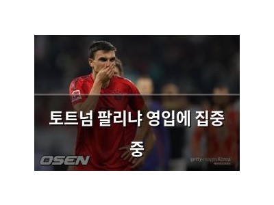 토트넘 팔리냐 영입에 집중 중