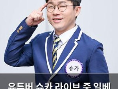 유튜버 슈카 라이브 중 일베 이미지 사용 논란
