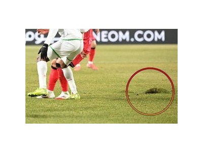 축구장 잔디 전수조사 나서는 문체부