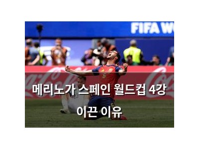 메리노가 스페인 월드컵 4강 이끈 이유