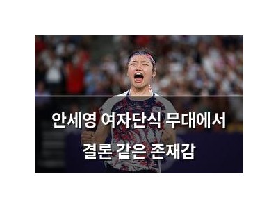 안세영 여자단식 무대에서 결론 같은 존재감