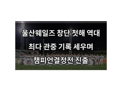 울산웨일즈 창단 첫해 역대 최다 관중 기록 세우며 챔피언결정전 진출